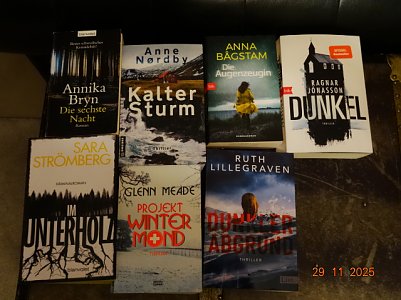 B&uuml;cher (Foto: )