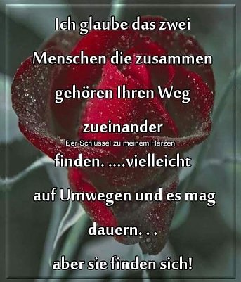 Liebe f&uuml;rs Leben (Foto: )