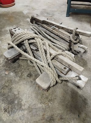 Dachb&ouml;cke  (Foto: )