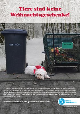 Tiere sind keine Geschenke (Foto: Deutscher Tierschutzbund e.V.)