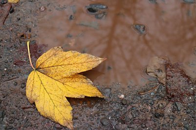 Wetterbild Foto: agl