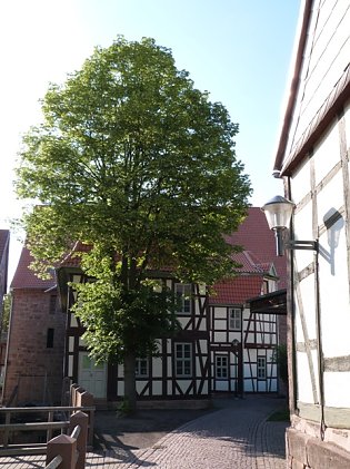 Bild: Herrnm&uuml;hle