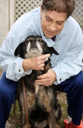 Bild: Der Freund: der Hund