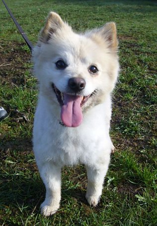 Bild: Teddy