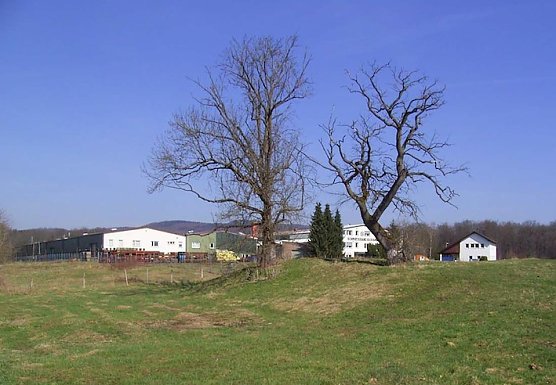 Geheimnissvoller H&uuml;gel (Foto: F. Reinboth)