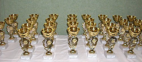 Pokale Karate (Foto: Karl-Heinz Herrmann) Pokale Karate (Foto: Karl-Heinz Herrmann)