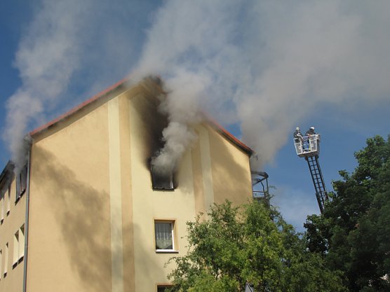 Erheblicher Schaden (Foto: Dr. Ulrich K&uuml;hn)