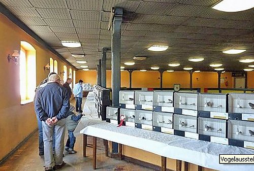 Gro&szlig;e Gefl&uuml;gelausstellung (Foto: Karl-Heinz Herrmann)