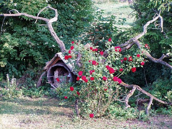 Rosenbaum (Foto: Kunst und Kram) Rosenbaum (Foto: Kunst und Kram)