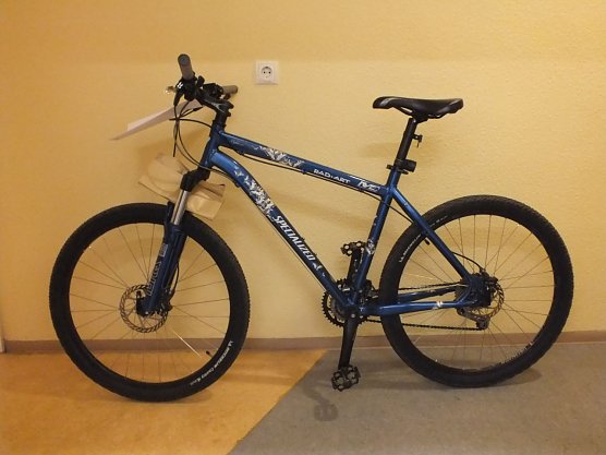 Besitzer gesucht (Foto: BP Erfurt)