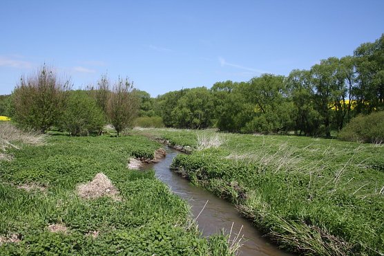 Naturefund (Foto: Arne Willenberg)