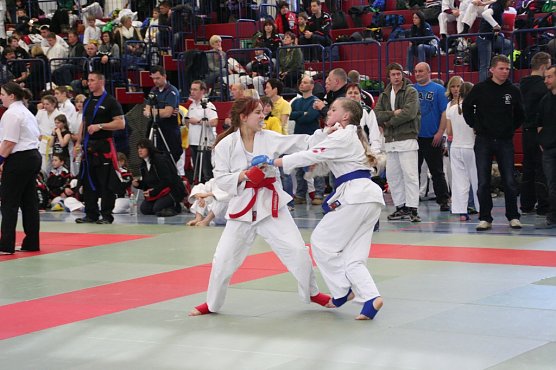 Jujutsu in Zeitz (Foto: Gerald Eckert)
