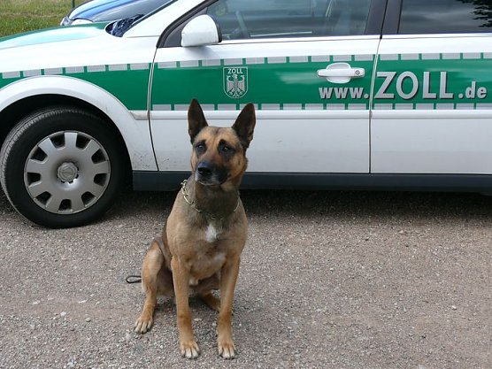 Das ist "Jet" (Foto: Zoll) Das ist "Jet" (Foto: Zoll)