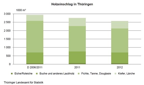 Grafik (Foto: TLS)