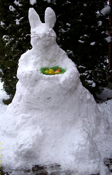 Schneehase (Foto: Franz-Josef Mai)