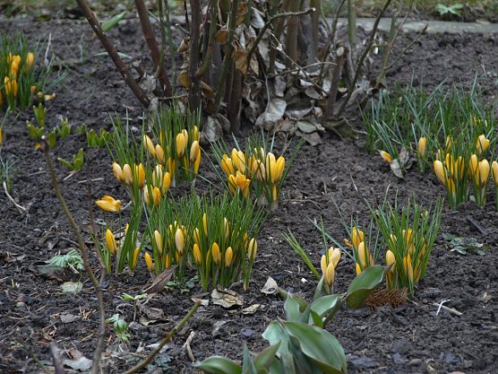 Fr&uuml;hjahrsputz in Uder (Foto: Ilka K&uuml;hn)