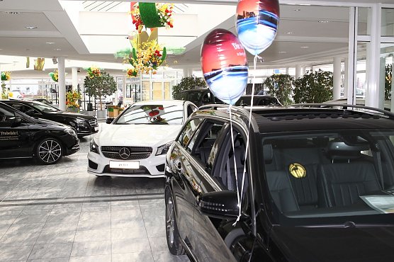 Kraftvolles Design (Foto: nnz)