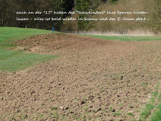 Golfplatz (Foto: Michael Falk)