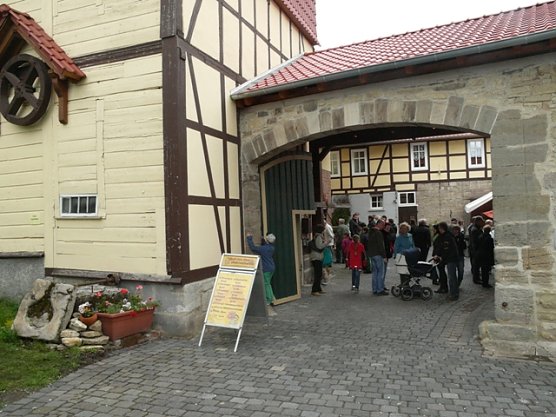 B&uuml;schlebsm&uuml;hle (Foto: Ilka K&uuml;hn)