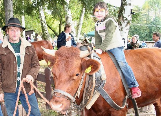 Abenteuer in Harzrigi (Foto: Hellberg) Abenteuer in Harzrigi (Foto: Hellberg)