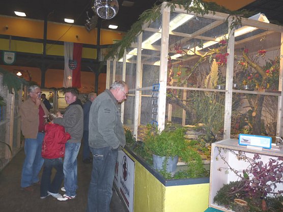 Ziergeflügelausstellung (Foto: Karl-Heinz Herrmann) Ziergeflügelausstellung (Foto: Karl-Heinz Herrmann)