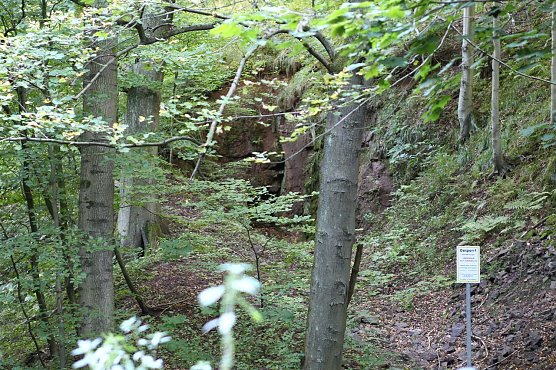 Am Braunsteinhaus (Foto: nnz)