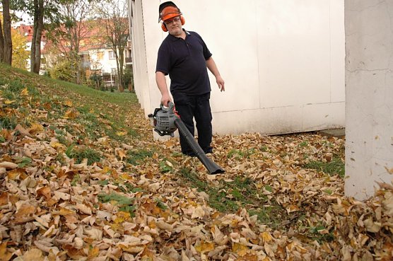 Vorsicht bei Hof- und Gartenarbeit (Foto: TÜV Thüringen) Vorsicht bei Hof- und Gartenarbeit (Foto: TÜV Thüringen)