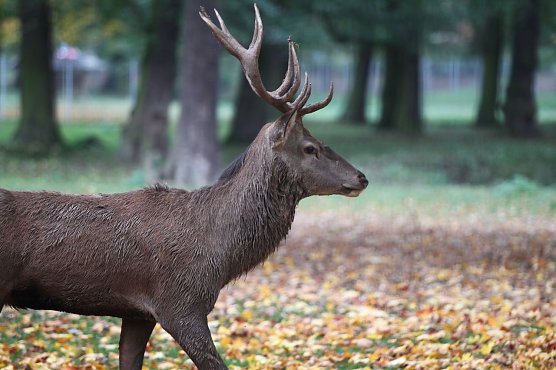 Im Stadtpark (Foto: nnz)