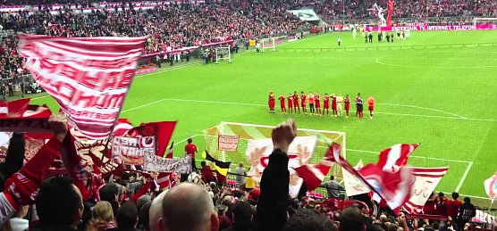 Fans im Stadion (Foto: privat) Fans im Stadion (Foto: privat)