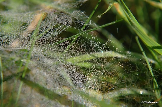 Wetter-Bild (Foto: Gernot Thelemann) Wetter-Bild (Foto: Gernot Thelemann)