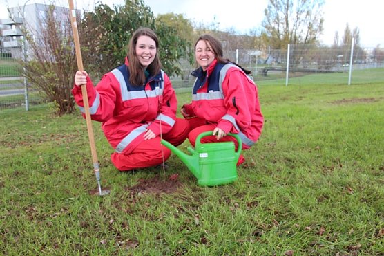 B&auml;ume gepflanzt (Foto: Flroian Blacha)