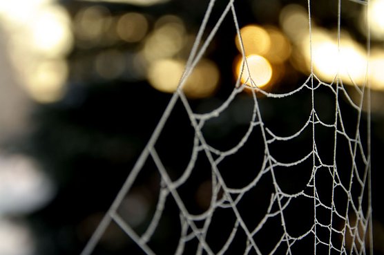 Wetter-Bild (Foto: Gernot Thelemann)