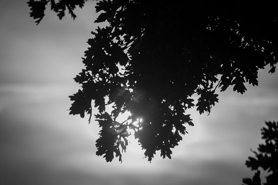 Wetter-Bild (Foto: Gernot Thelemann) Wetter-Bild (Foto: Gernot Thelemann)