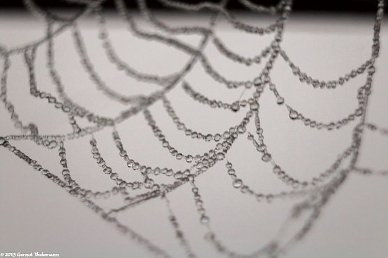 Wetter-Bild (Foto: Gernot Thelemann) Wetter-Bild (Foto: Gernot Thelemann)