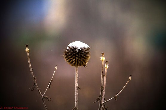 Wetter-Bild (Foto: Gernot Thelemann)