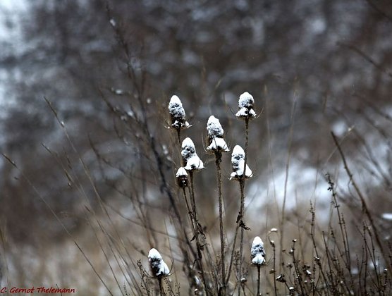 Wetter-Bild (Foto: Gernot Thelemann)