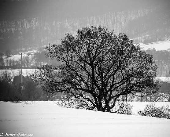 Wetter-Bild (Foto: Gernot Thelemann) Wetter-Bild (Foto: Gernot Thelemann)