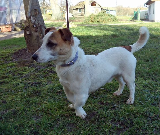 Gefunden (Foto: C. Knust) Gefunden (Foto: C. Knust)