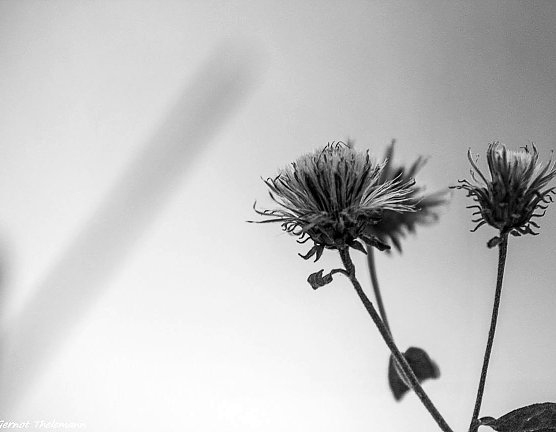 Wetter-Bild (Foto: Gernot Thelemann)