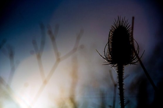 Wetter-Bild (Foto: Gernot Thelemann) Wetter-Bild (Foto: Gernot Thelemann)