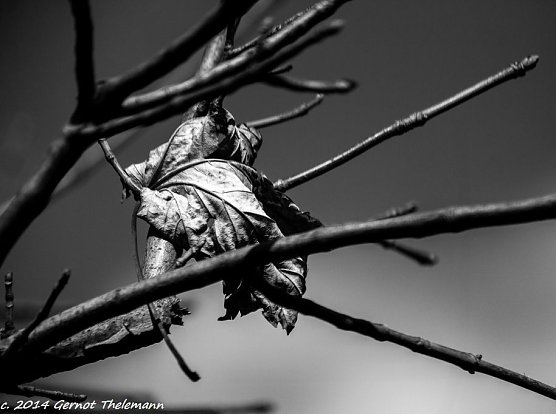 Wetter-Bild (Foto: Gernot Thelemann)