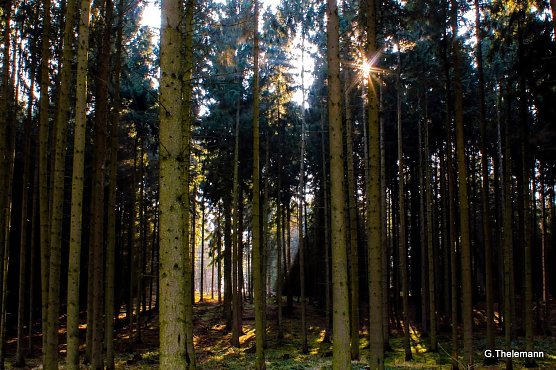 Wetter-Bild (Foto: Gernot Thelemann)