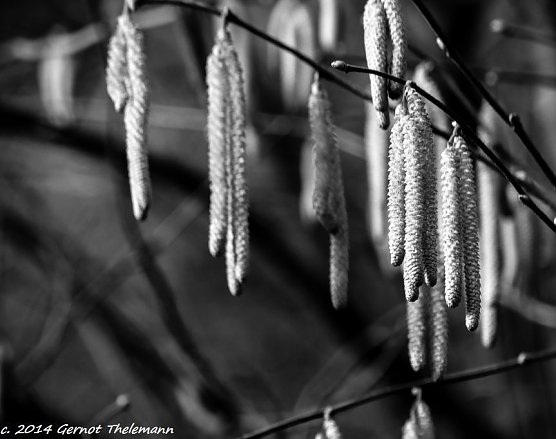 Wetter-Bild (Foto: Gernot Thelemann)