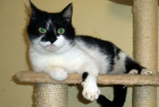 Berta (Foto: C. Knust)