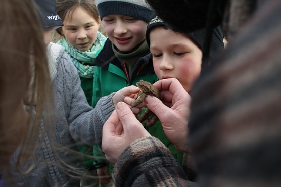 Am K&ouml;rtenzaun (Foto: Astrid Willenberg)