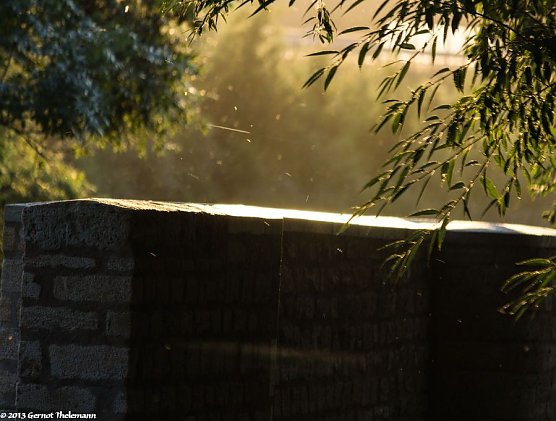 Wetter-Bild (Foto: Gernot Thelemann)