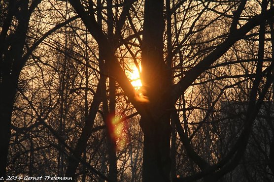Wetter-Bild (Foto: Gernot Thelemann)