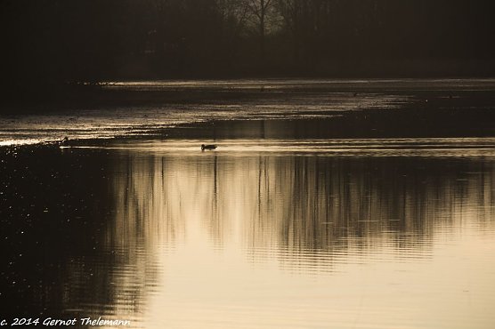 Wetter-Bild (Foto: Gernot Thelemann) Wetter-Bild (Foto: Gernot Thelemann)