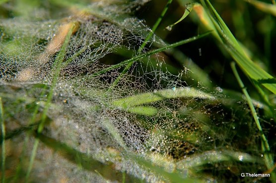 Wetter-Bild (Foto: Gernot Thelemann) Wetter-Bild (Foto: Gernot Thelemann)