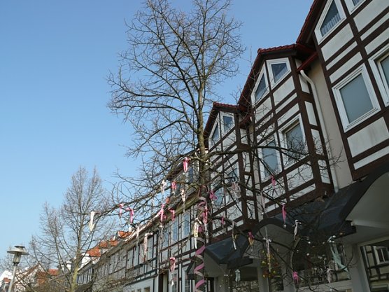 Fr&uuml;hlingsbaum (Foto: Ilka K&uuml;hn)